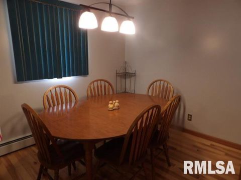 Tiny photo for 736 N MILL Street, Carrier Mills, IL 62917 (MLS # EB459487)