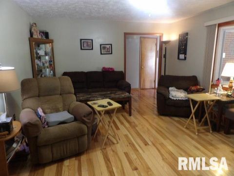 Tiny photo for 736 N MILL Street, Carrier Mills, IL 62917 (MLS # EB459487)