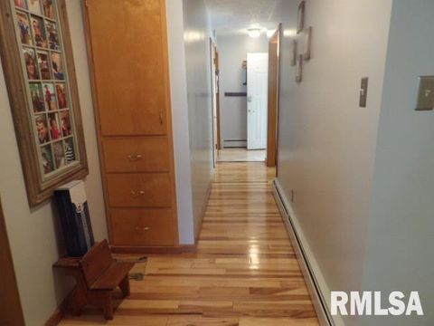 Tiny photo for 736 N MILL Street, Carrier Mills, IL 62917 (MLS # EB459487)