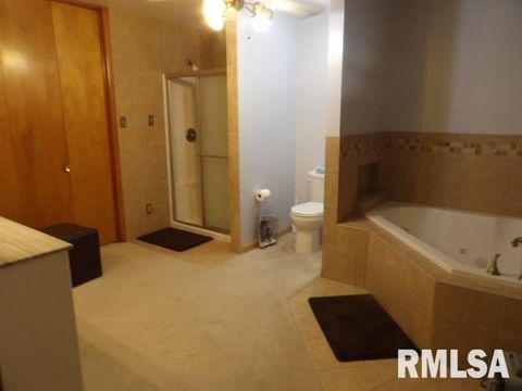 Tiny photo for 736 N MILL Street, Carrier Mills, IL 62917 (MLS # EB459487)