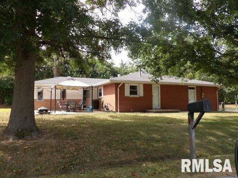 Tiny photo for 736 N MILL Street, Carrier Mills, IL 62917 (MLS # EB459487)