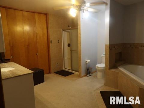 Tiny photo for 736 N MILL Street, Carrier Mills, IL 62917 (MLS # EB459487)