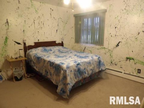 Tiny photo for 736 N MILL Street, Carrier Mills, IL 62917 (MLS # EB459487)