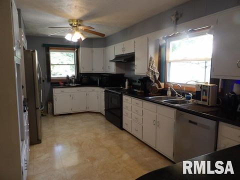 Tiny photo for 736 N MILL Street, Carrier Mills, IL 62917 (MLS # EB459487)