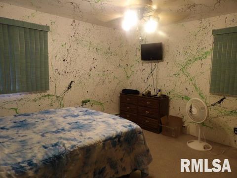 Tiny photo for 736 N MILL Street, Carrier Mills, IL 62917 (MLS # EB459487)