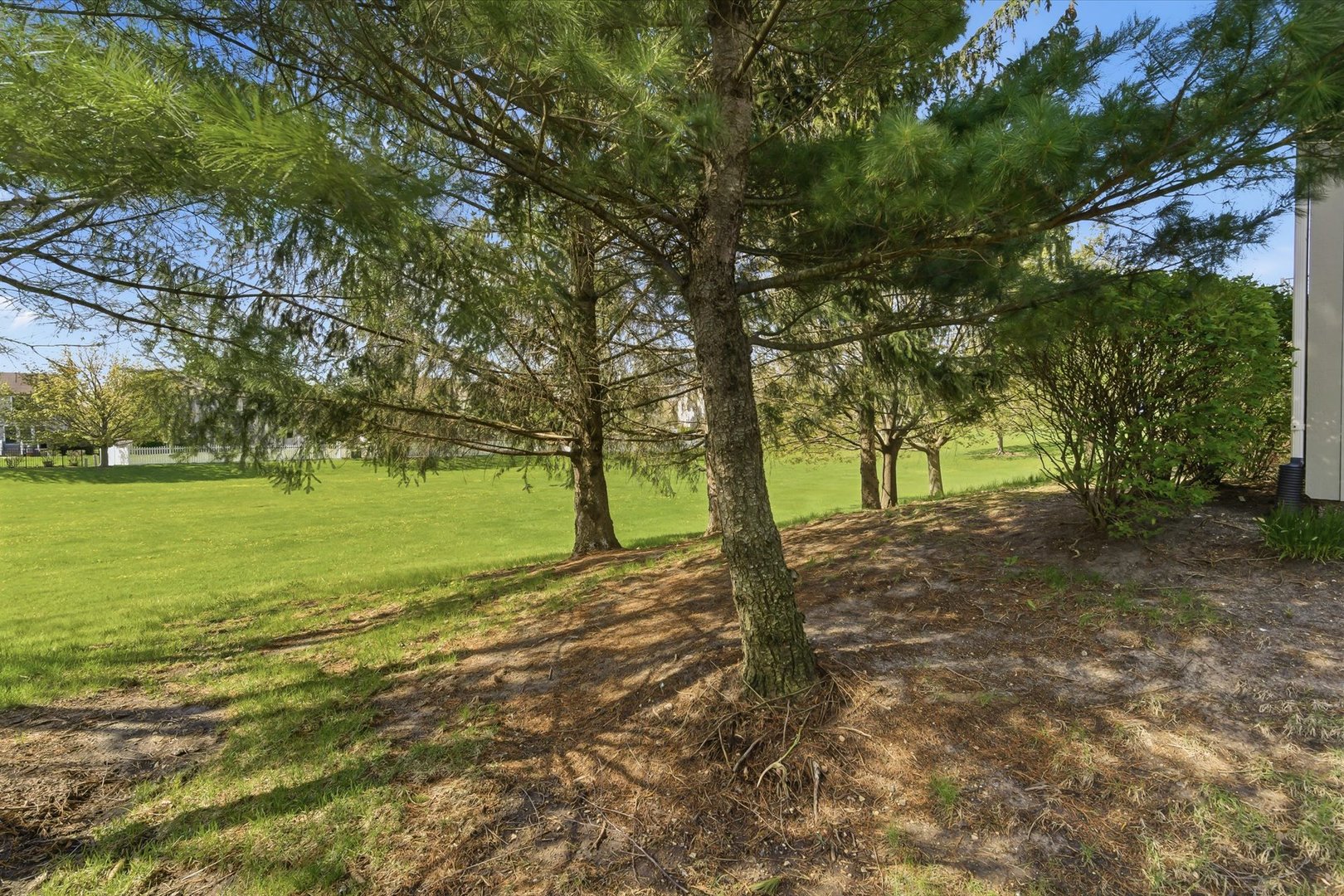 2255 Vanderbilt Drive 2255