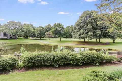 Tiny photo for 447 WHITE OAK Lane #1135B, Lake Barrington, IL 60010 (MLS # 12701822)