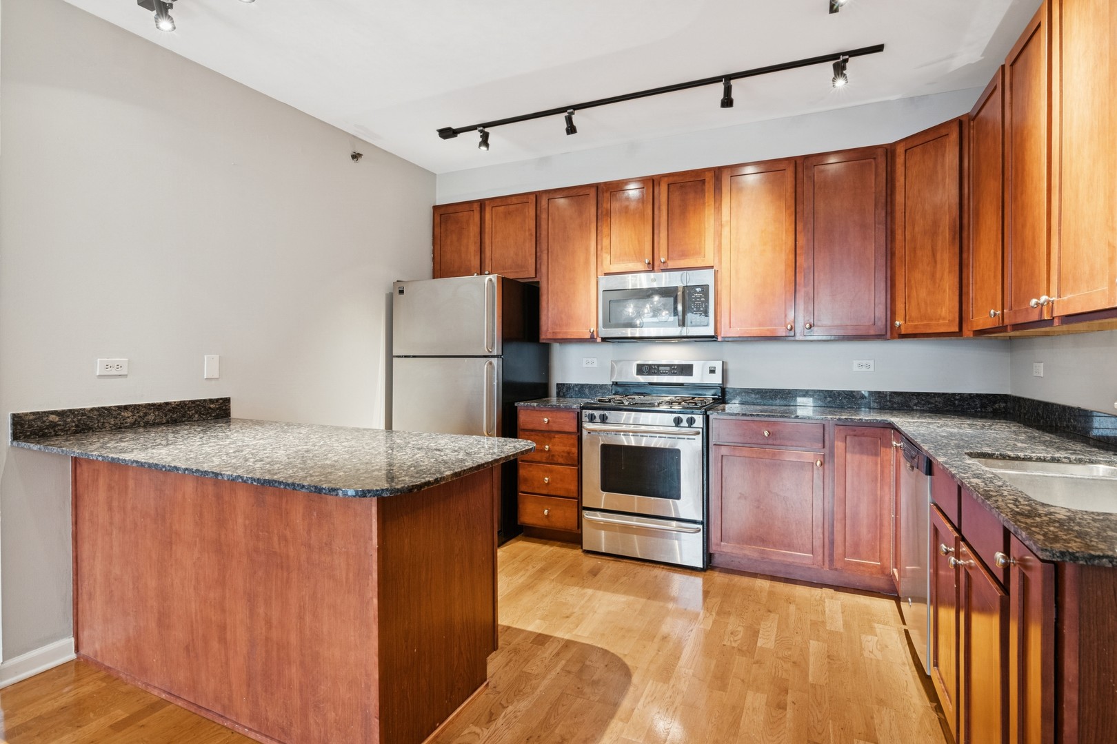 1212 N Wells Street 1005