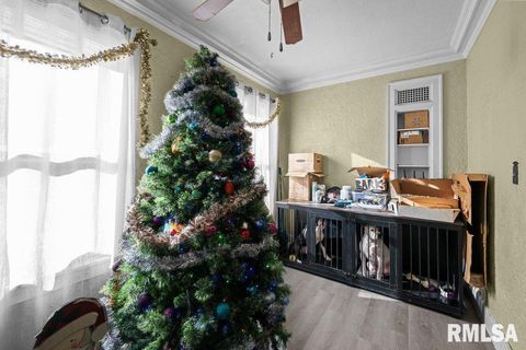 Tiny photo for 1624 14 1/2 Street, Rock Island, IL 61201 (MLS # QC4270088)