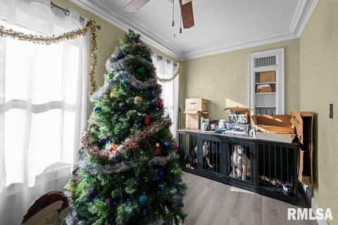 Tiny photo for 1624 14 1/2 Street, Rock Island, IL 61201 (MLS # QC4270088)