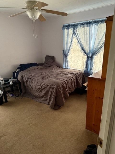 Tiny photo for 210 W South Street, Sheffield, IL 61361 (MLS # 12540174)