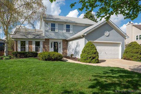 Photo of 1227 Windemere Avenue, Naperville, IL 60564 (MLS # 12619067)