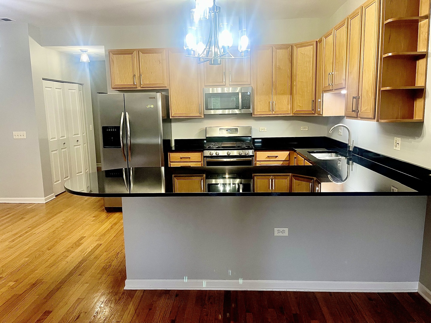 1927 W Diversey Parkway 4B