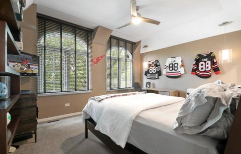 Tiny photo for 203 Settlers Court, Naperville, IL 60565 (MLS # 12388741)