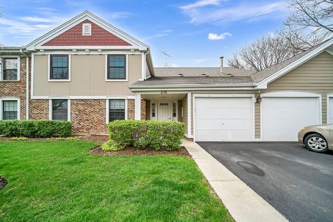 218 OAK KNOLL Court D1 Schaumburg IL 60193