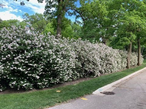 Tiny photo for 50 W Blodgett Avenue, Lake Bluff, IL 60044 (MLS # 12579488)