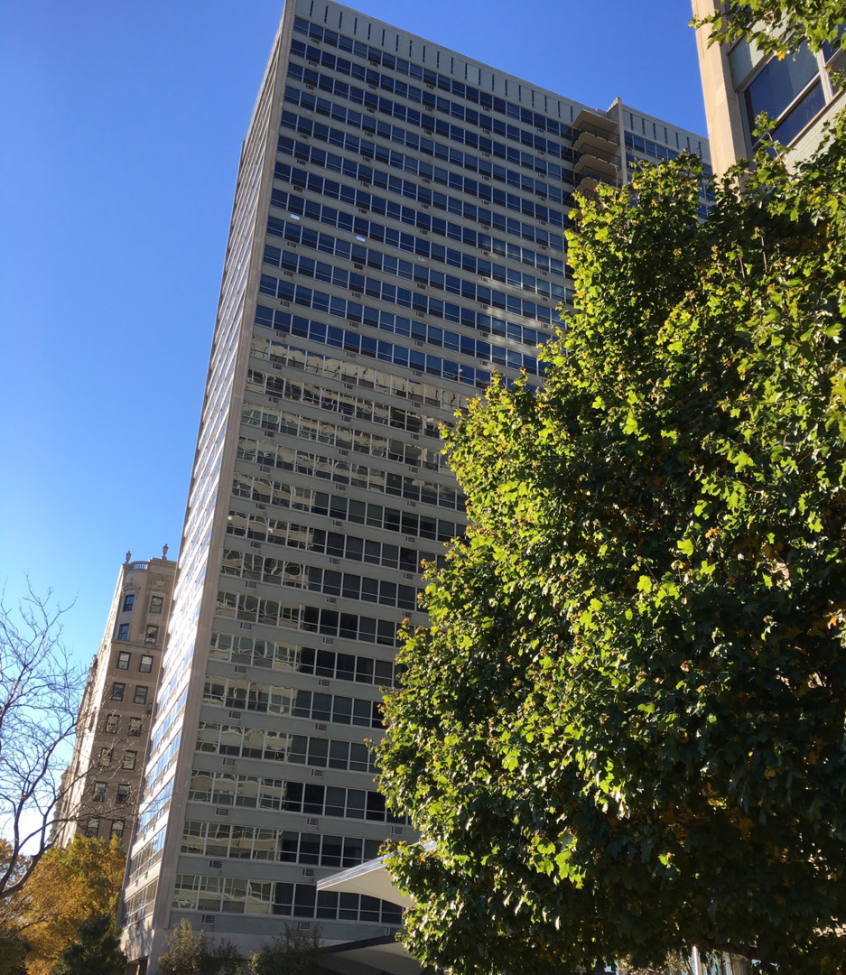 3550 N LAKE SHORE Drive 2403