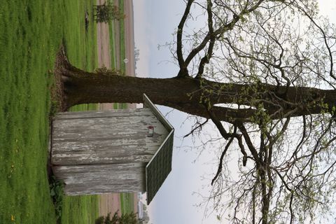 Tiny photo for 612 County Road 2500 E, Homer, IL 61849 (MLS # 12349931)