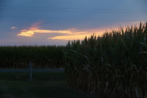 Tiny photo for 612 County Road 2500 E, Homer, IL 61849 (MLS # 12349931)