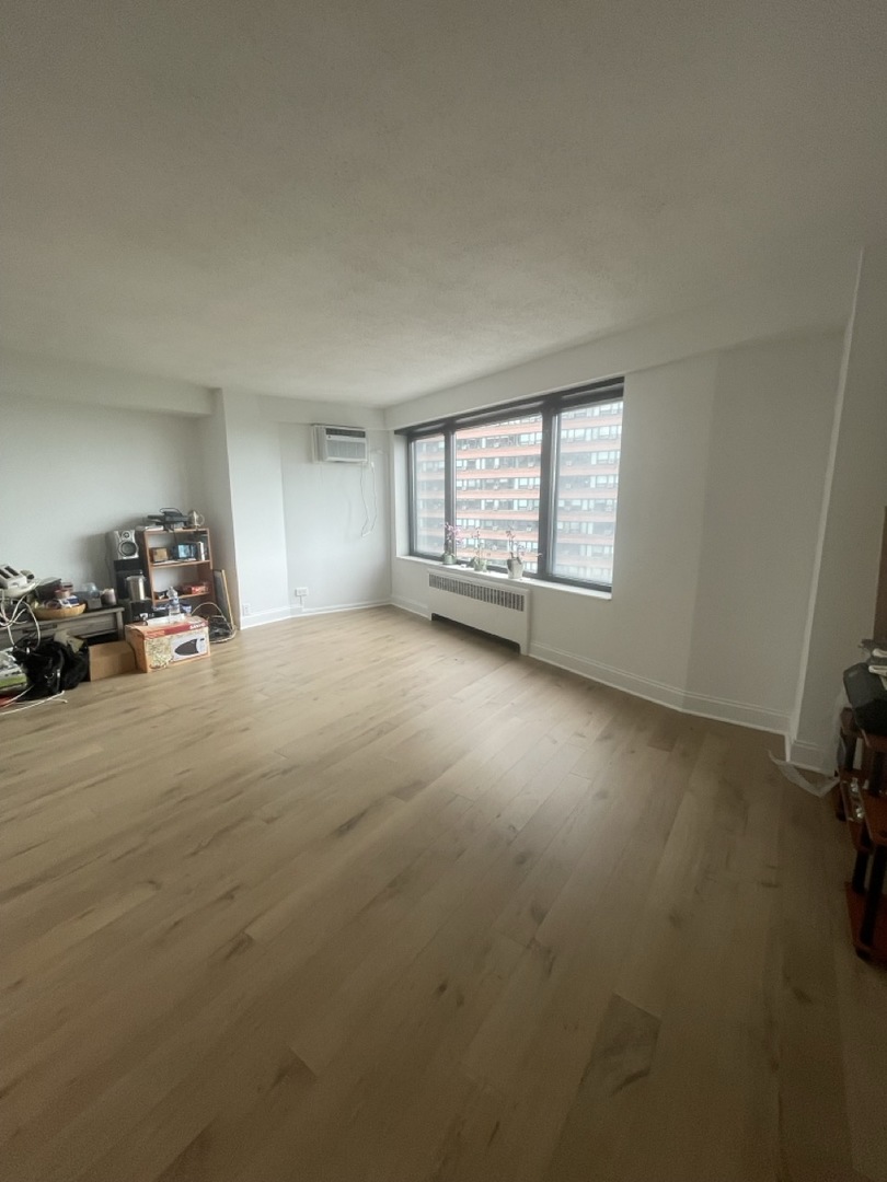 3100 N Lake Shore Drive 913