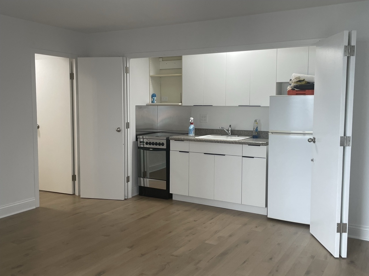 3100 N Lake Shore Drive 913