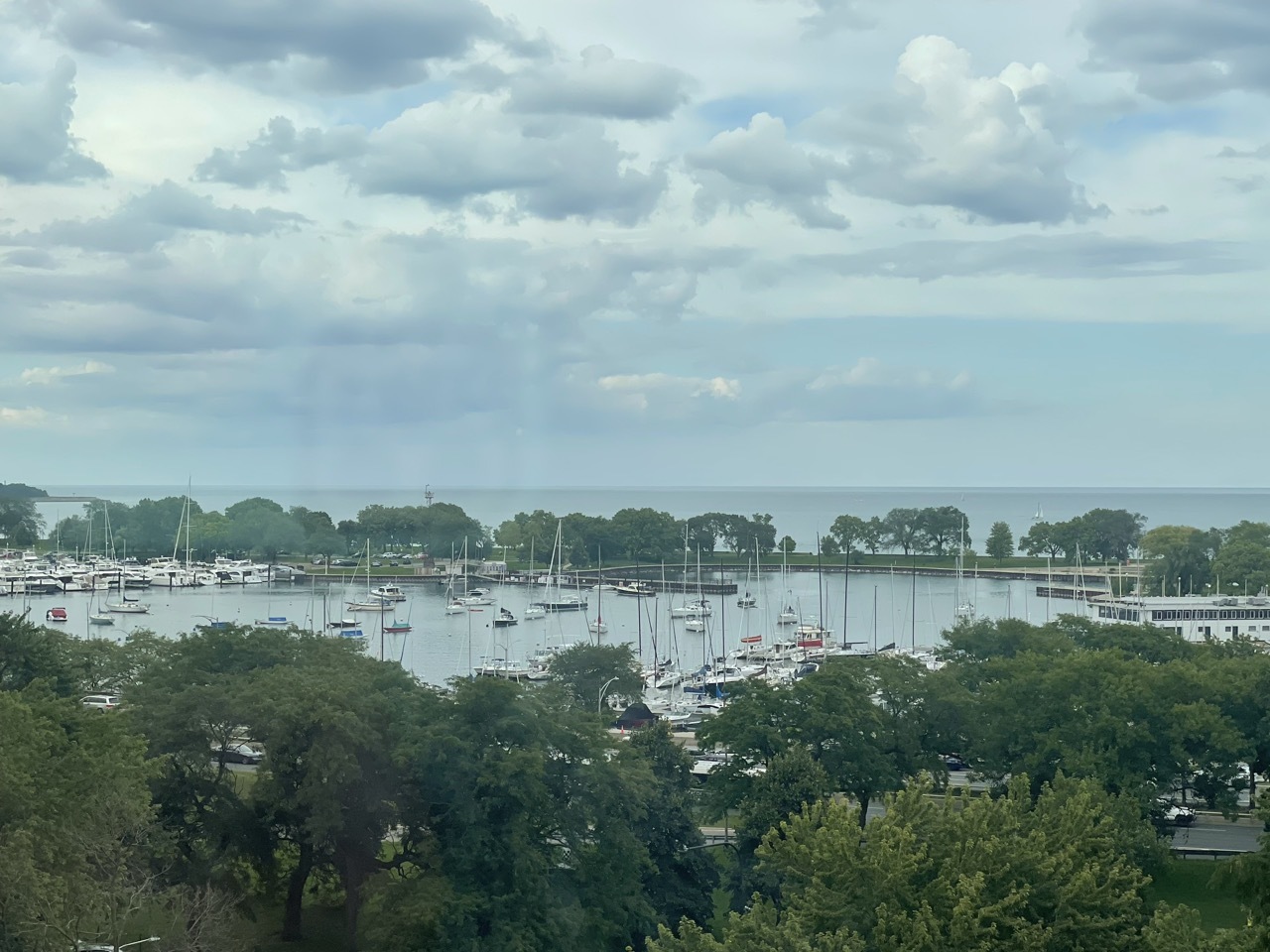 3100 N Lake Shore Drive 913