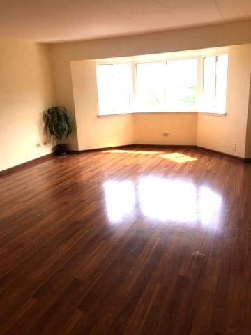 300 Roselle Road 419