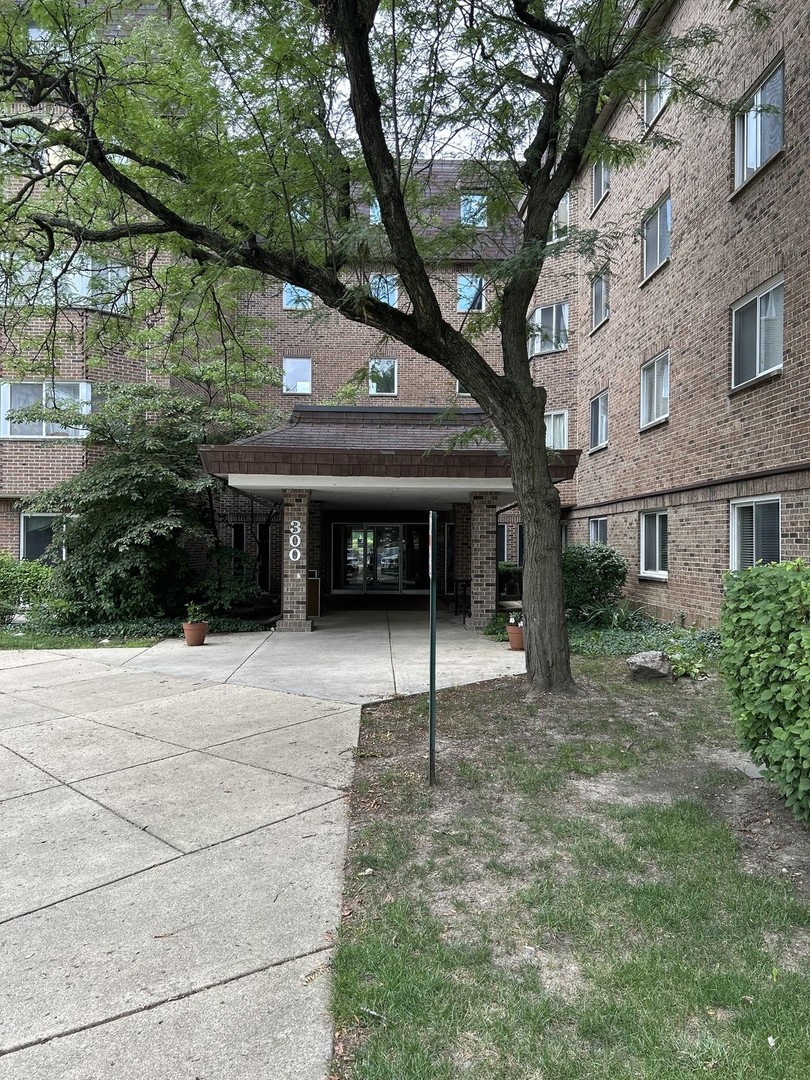 300 Roselle Road 419