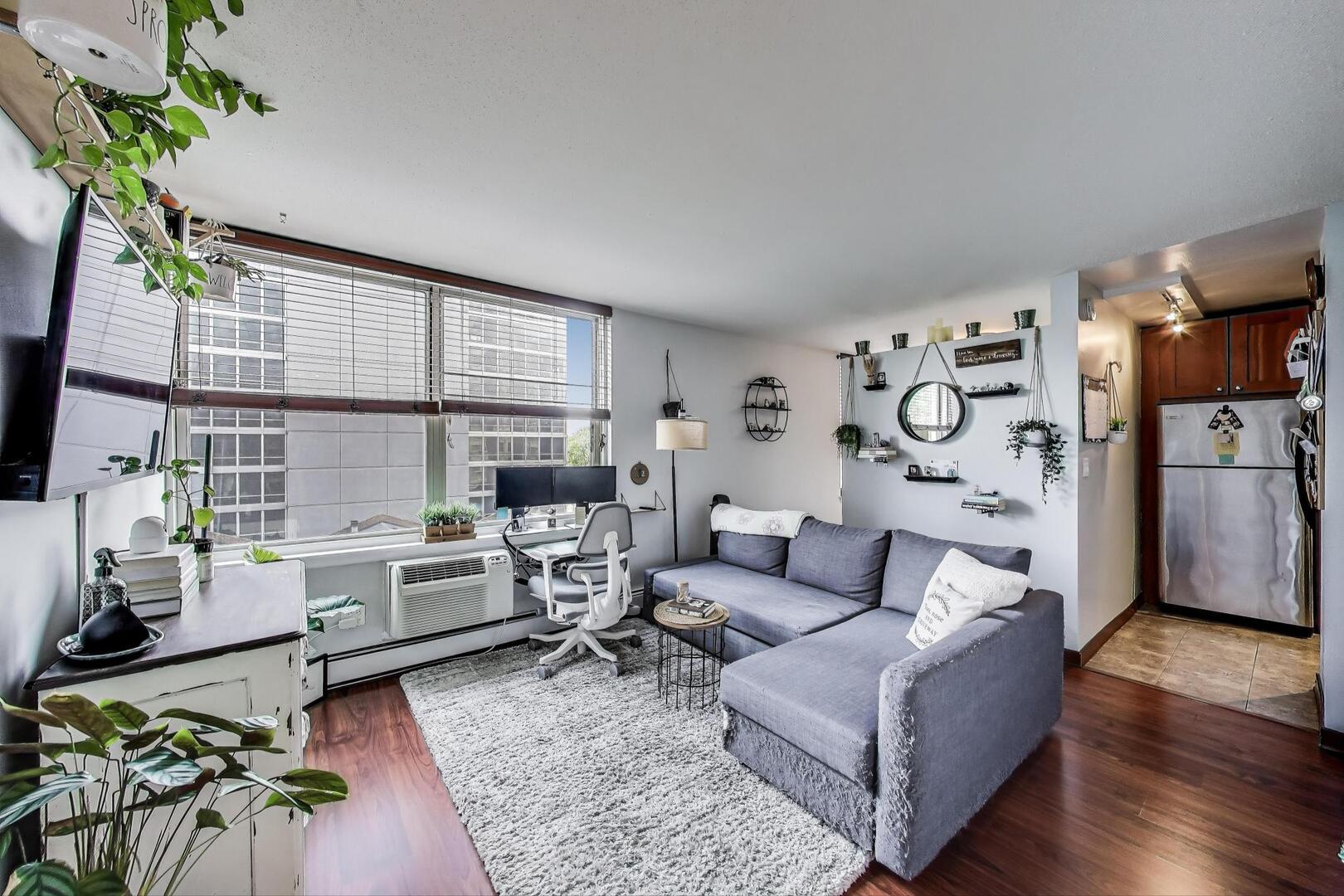 3033 N Sheridan Road 602