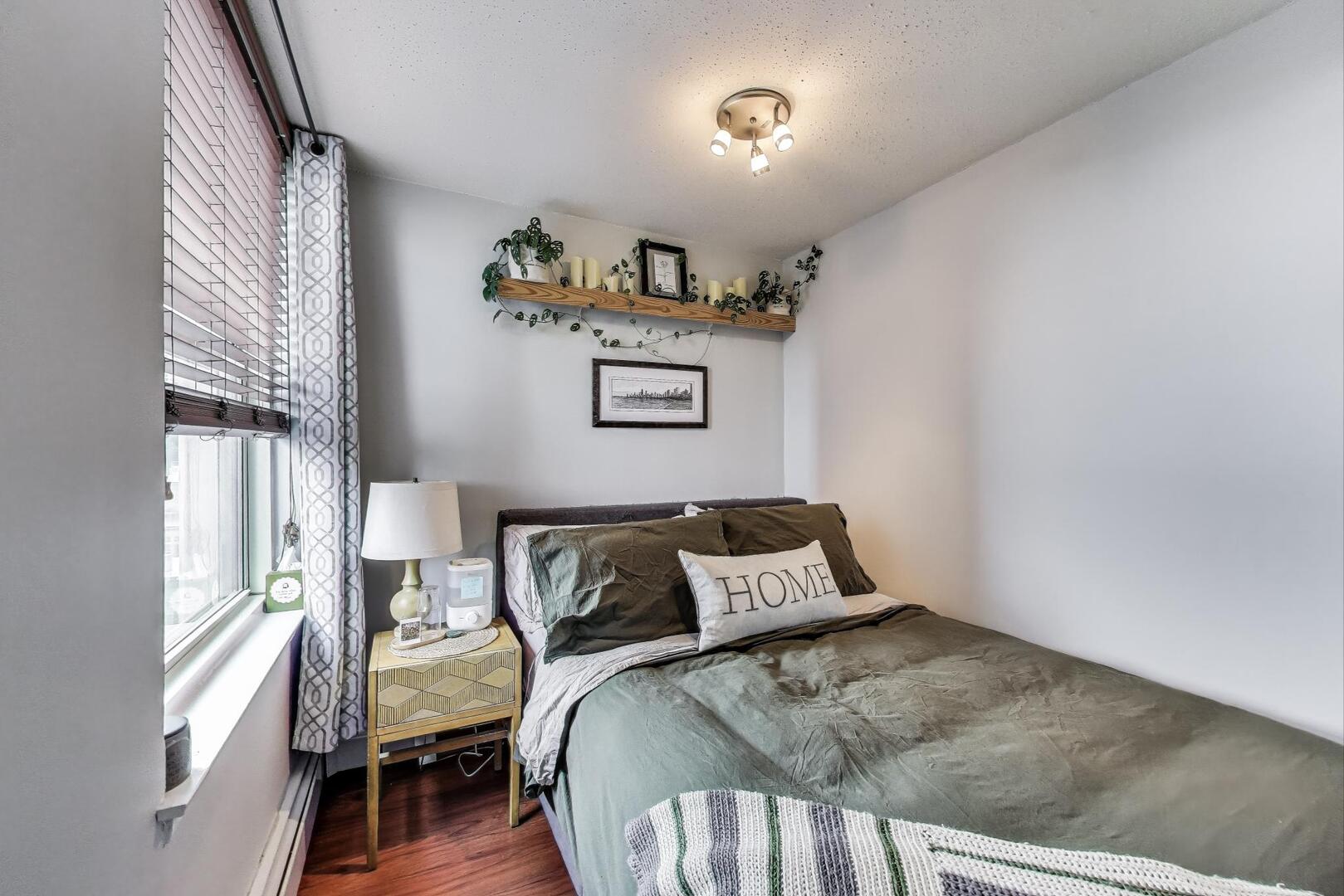 3033 N Sheridan Road 602