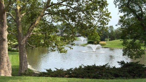 Tiny photo for 1262 N Wellington Court, Buffalo Grove, IL 60089 (MLS # 12707423)