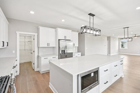 Tiny photo for 16116 S Longcommon Lane, Plainfield, IL 60586 (MLS # 12451649)