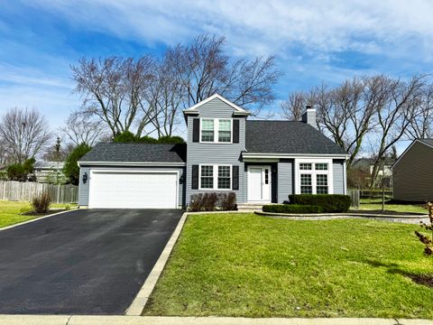 1055 Brittany Road Lake Zurich IL 60047