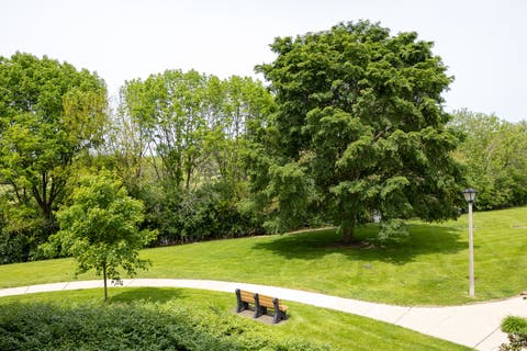 Tiny photo for 450 Raintree Court #2B, Glen Ellyn, IL 60137 (MLS # 12703645)