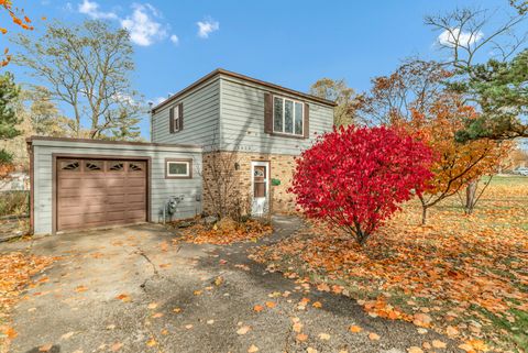 1623 Sawyer Avenue Glen Ellyn IL 60137