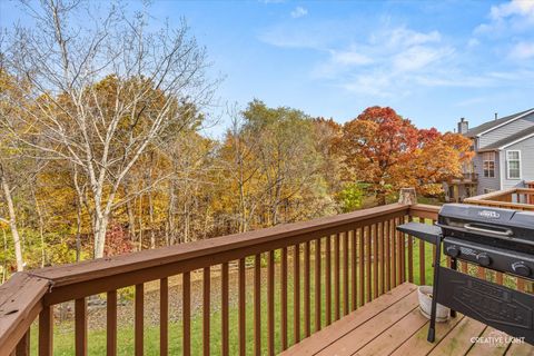 Tiny photo for Algonquin, IL 60102 (MLS # 12511200)