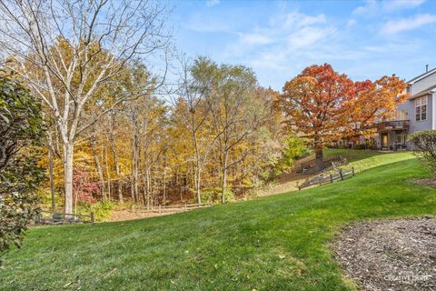 Tiny photo for Algonquin, IL 60102 (MLS # 12511200)