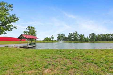 Tiny photo for 1717 MARION Street, Carterville, IL 62918 (MLS # EB457985)