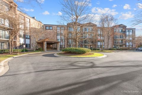  Mount Prospect IL 60056