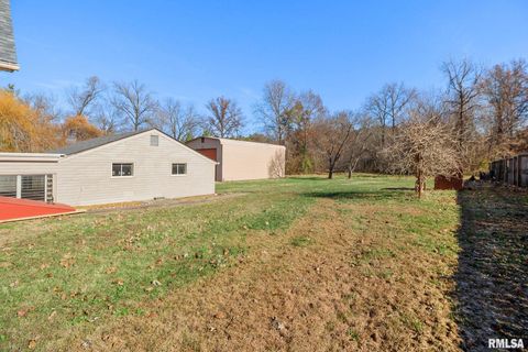 Tiny photo for 1510 S DIVISION Street, Carterville, IL 62918 (MLS # QC4269709)