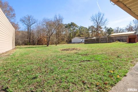 Tiny photo for 1510 S DIVISION Street, Carterville, IL 62918 (MLS # QC4269709)