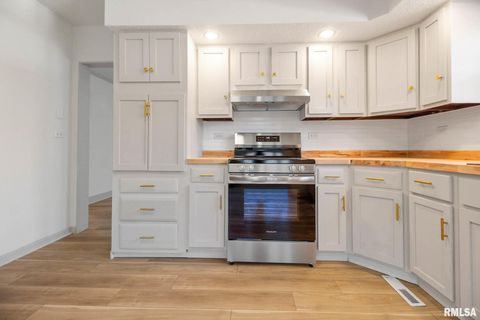 Tiny photo for 1510 S DIVISION Street, Carterville, IL 62918 (MLS # QC4269709)