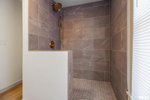 Tiny photo for 1510 S DIVISION Street, Carterville, IL 62918 (MLS # QC4269709)