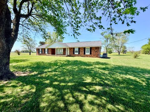 Photo of 7585 Jennings Lane, Brookport, IL 62910 (MLS # 12615878)