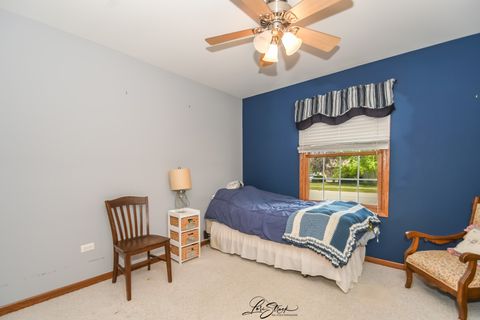 Tiny photo for 712 Hauert Street, Peotone, IL 60468 (MLS # 12473566)