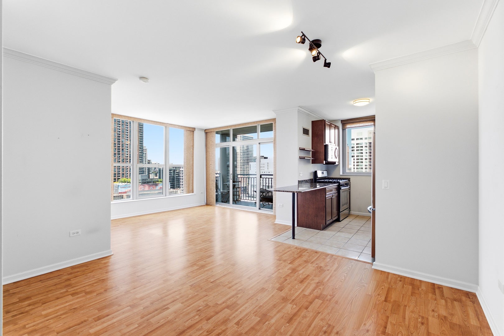 600 N Dearborn Street 1501
