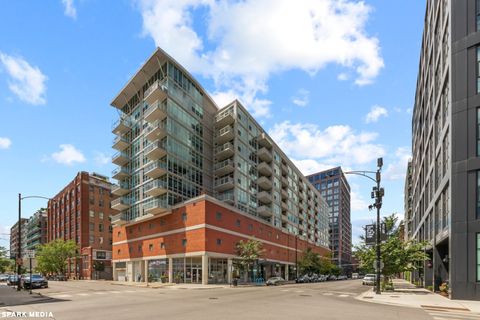 909 W Washington Boulevard 1008 Chicago IL 60607