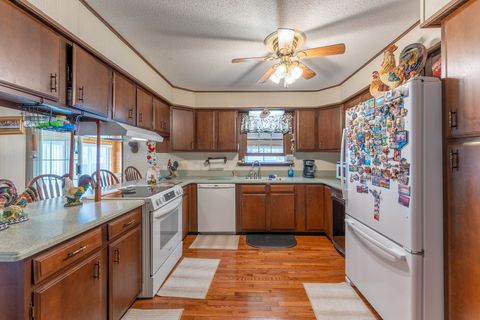Tiny photo for 607 E 15th Street, Johnston City, IL 62951 (MLS # 12606365)