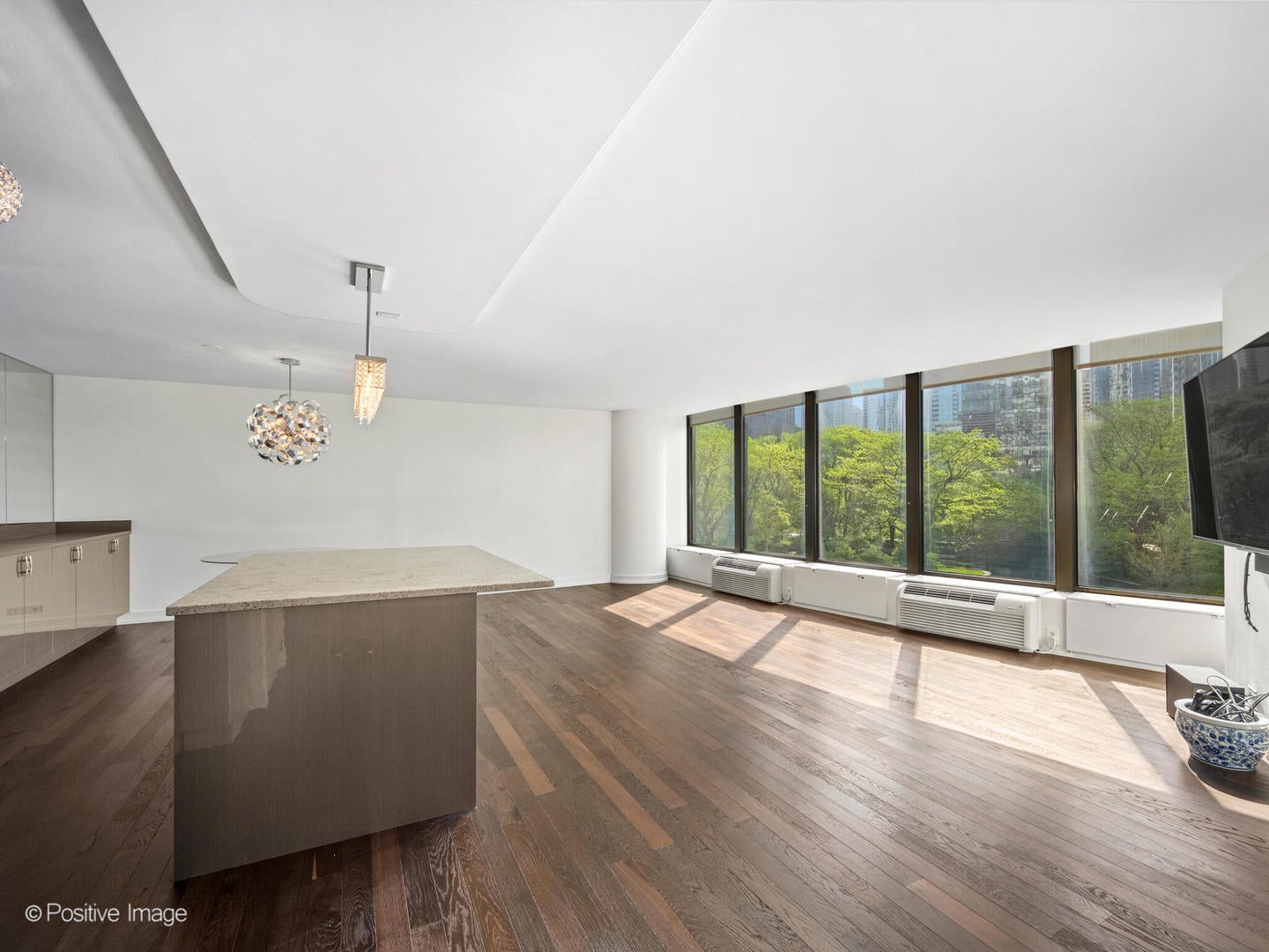 505 N Lake Shore Drive 501
