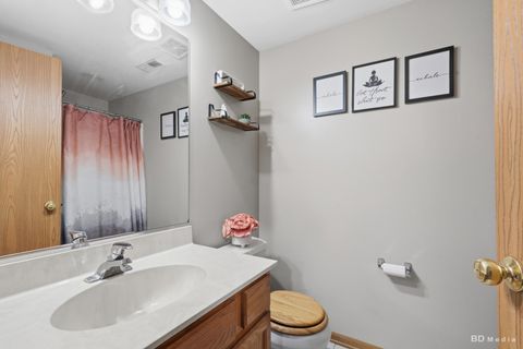 Tiny photo for 25606 S Jonquil Lane, Monee, IL 60449 (MLS # 12631800)